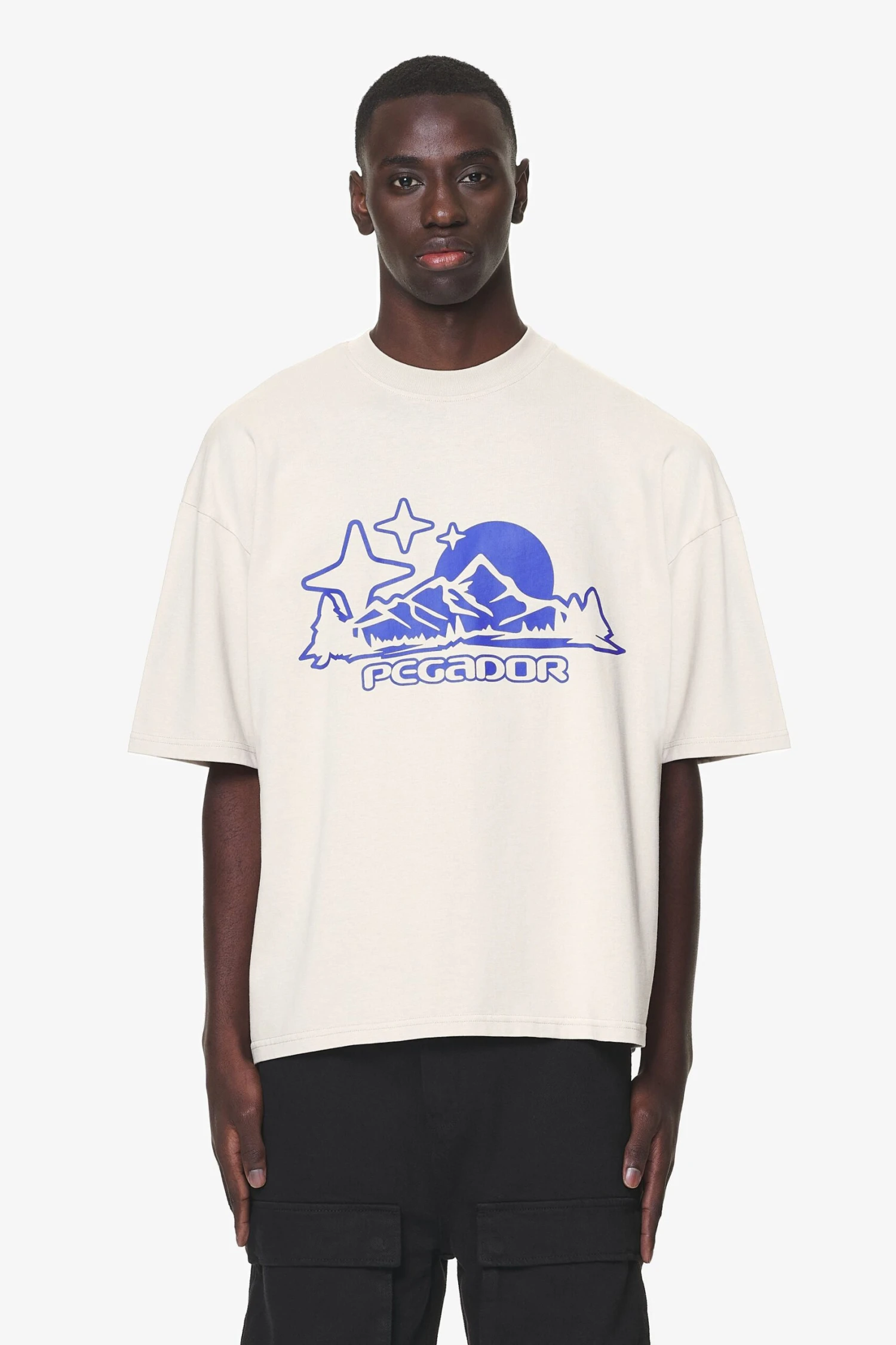 Pansy Boxy Tee Washed Dust Cream