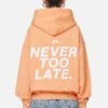 Airville Oversized Zip Hoodie Washed Apricot