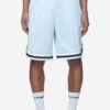 Lansing Basketball Shorts Baby Blue